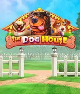 From Pragmatic Play comes The Dog House Slot, featuring an adorable adventure through charming canines. Enjoy gameplay elements including free spins, designed for delivering joyful moments. A must-try for animal enthusiasts a lighthearted setting with a chance for big wins.